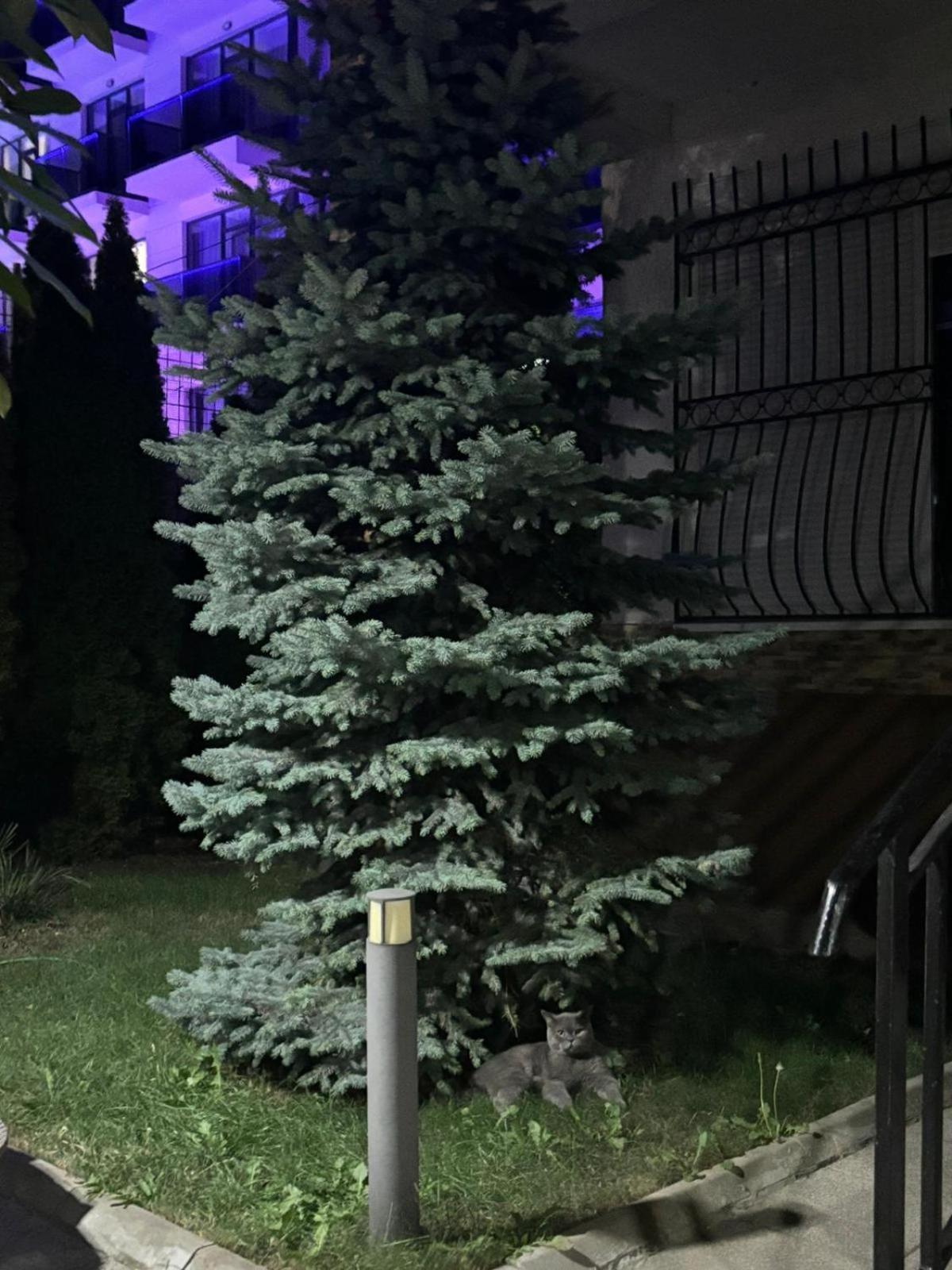 D&H Hotell Năvodari Exteriör bild
